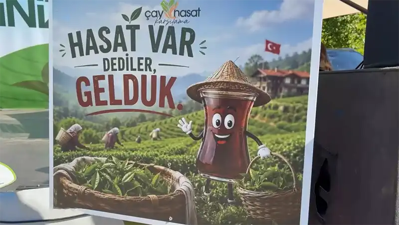 Rize’de Çay Hasat Sezonu Coşkuyla Başladı