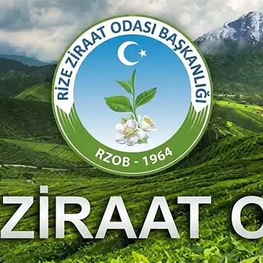Rize Ziraat Odası “35 TL + 3 TL Destek Olmalı”