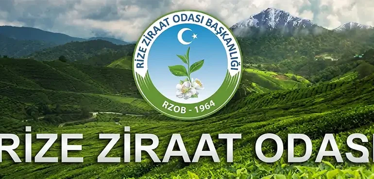 Rize Ziraat Odası “35 TL + 3 TL Destek Olmalı”