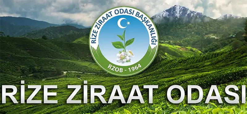 Rize Ziraat Odası “35 TL + 3 TL Destek Olmalı”