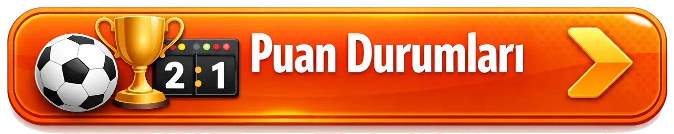 Puan Durumları