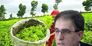 Rize CHP'den Sert Tepki “35 TL Yaş Çay Fiyatı Üreticinin Ölüm Fermanıdır”