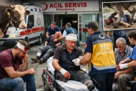 Rize’de Bayramın İlk Günü 97 Kişi Yaralandı