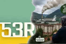 Rize’de Çay Sezonu Şikayetlerle Başladı