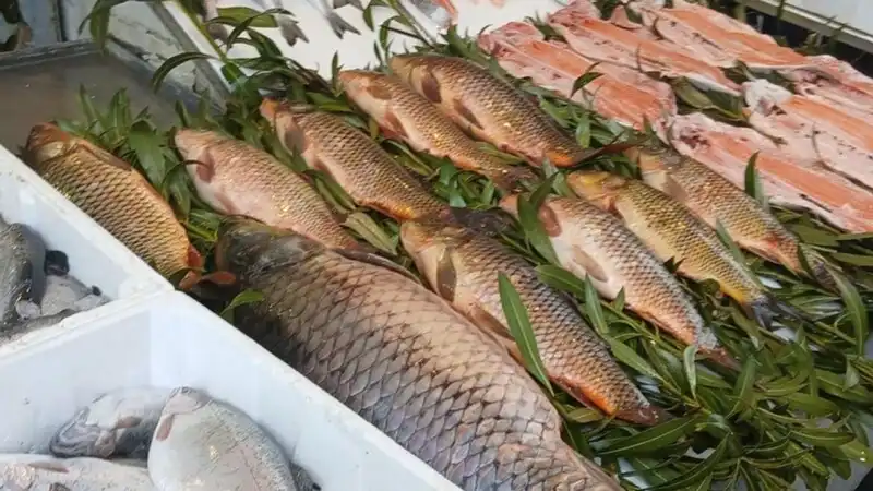 Rize Tezgahlarında Kafes Balıkları Dönemi