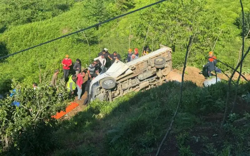 Çayeli’nde Çay Yüklü Kamyonet Bahçeye Yuvarlandı