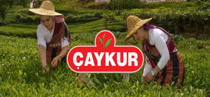 ÇAYKUR’dan Beyaz Çay Üreticilerine Rekor Destek