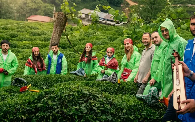 Güneysu’da “Gönüllü Çay Hasadı Etkinliği”