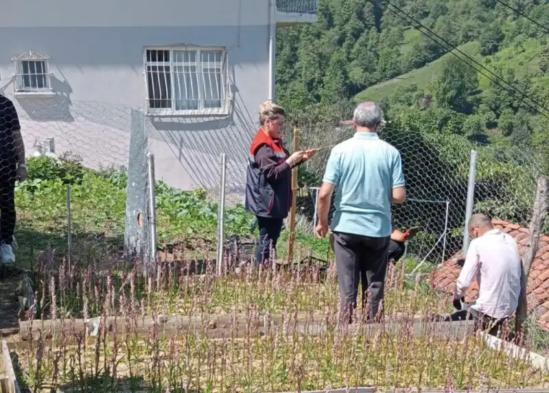 Rize'de Salep Hasadına Sıkı Denetim