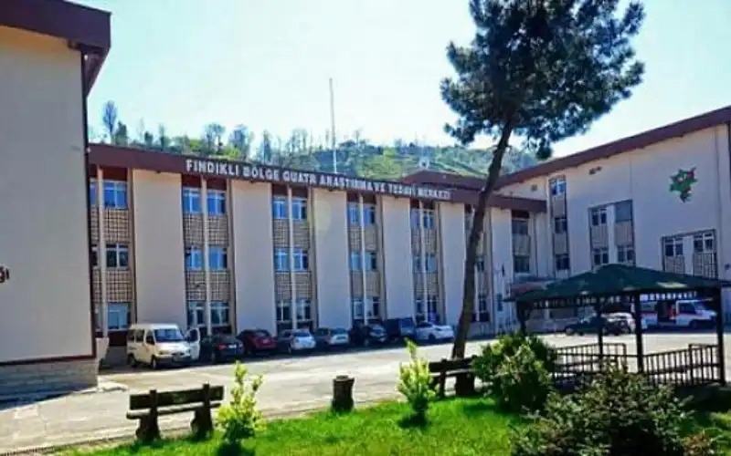 Fındıklı Devlet Hastanesi’ne Çocuk Doktoru Ataması Yapıldı