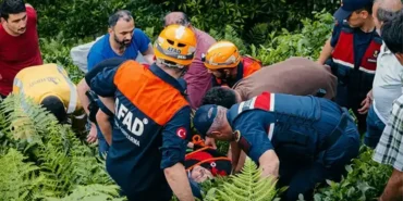 Çayeli’nde Çaylık Arazide Mahsur Kalan Vatandaş Ekiplerce Kurtarıldı
