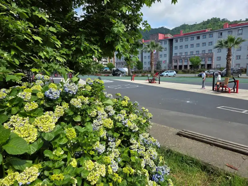 Rize Sahilinde Baharın Renkleri