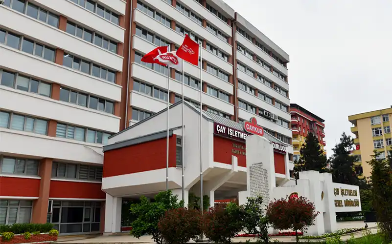 ÇAYKUR