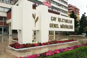 ÇAYKUR