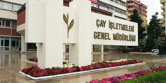 ÇAYKUR