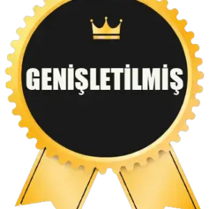 Genişletilmiş