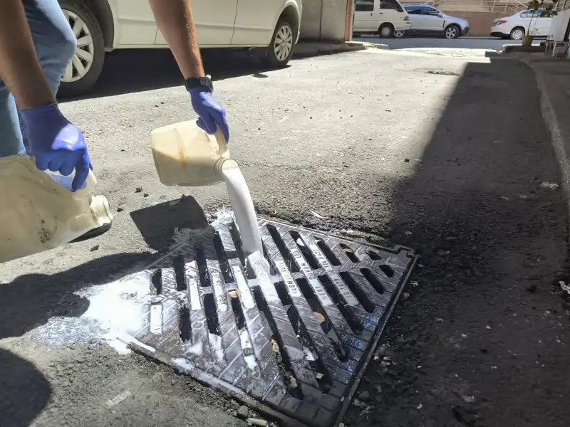 Rize Belediyesinden Yaz Boyunca Kesintisiz Mücadele