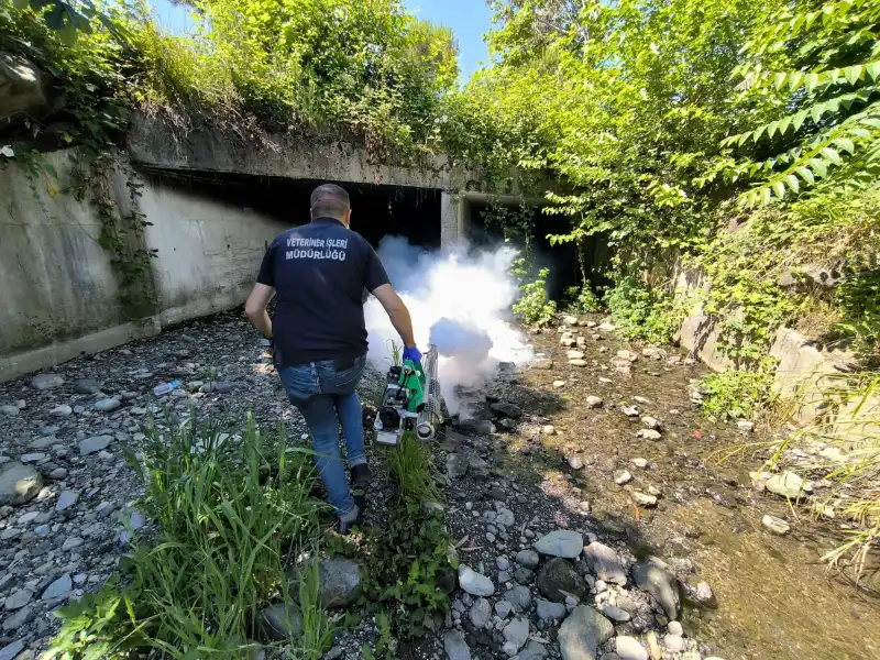 Rize Belediyesinden Yaz Boyunca Kesintisiz Mücadele