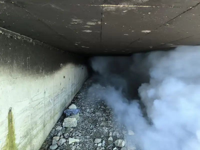 Rize Belediyesinden Yaz Boyunca Kesintisiz Mücadele