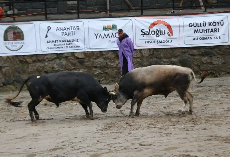 30. Çamlıhemşin Ayder Festivali Coşkuyla Başladı