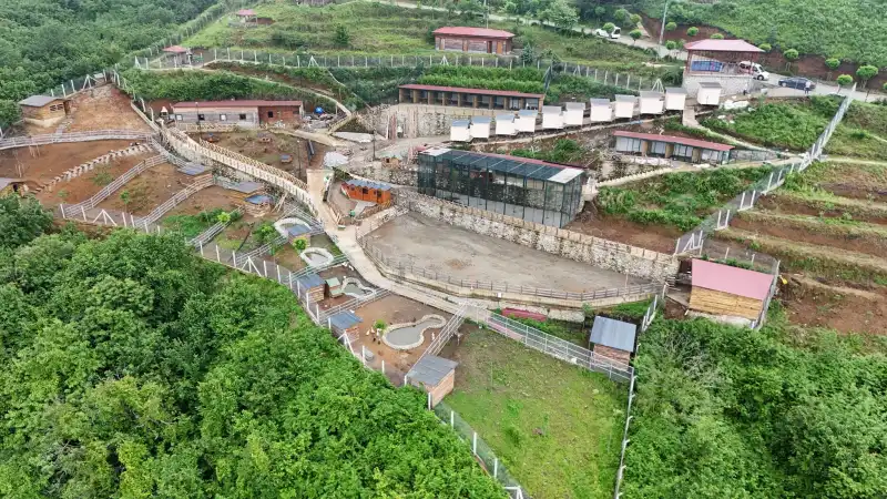 Rize'de Doğayla İç İçe Yeni Yaşam Alanı