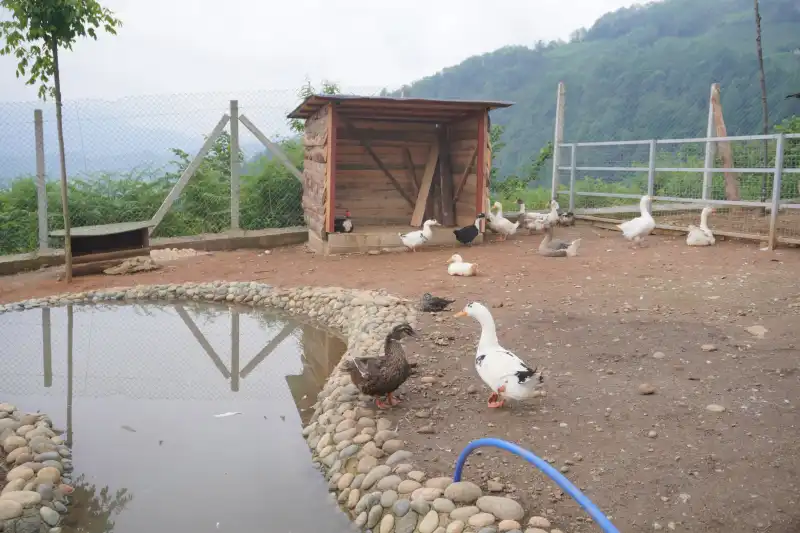 Rize'de Doğayla İç İçe Yeni Yaşam Alanı