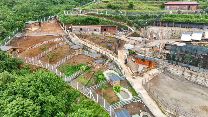 Rize'de Doğayla İç İçe Yeni Yaşam Alanı