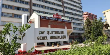 ÇAYKUR