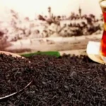 ÇAYKUR'dan Kuru Çaya Yeni Zam