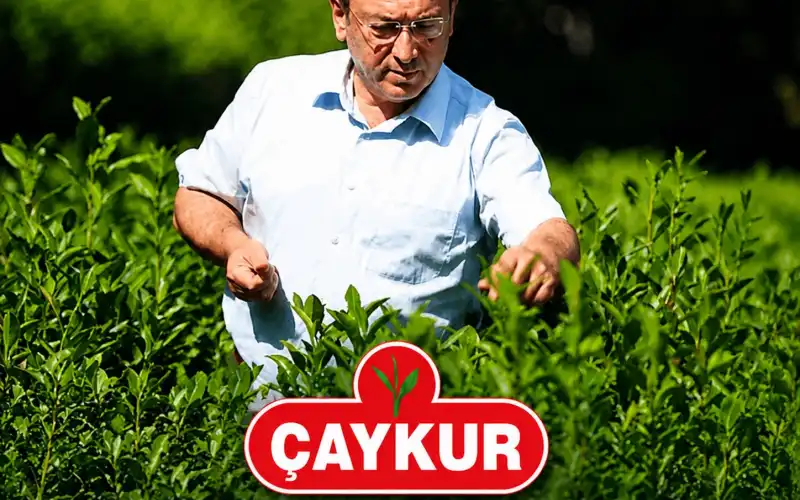 1787632808916881709