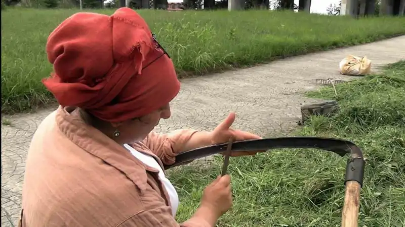 Hayvanları İçin Rize Kent Merkezinde Ot Biçiyor