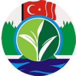 - Diğer