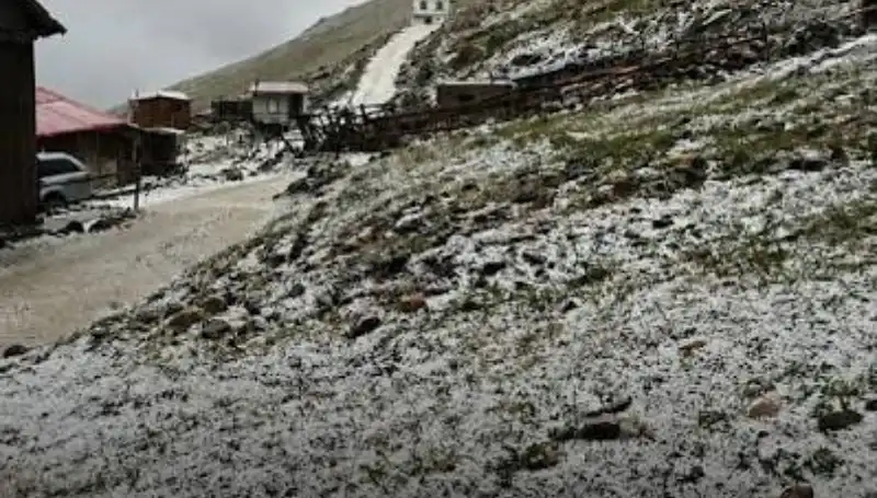 Anzer Yaylası’nda Ağustos Sürprizi