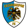 erzurumspor