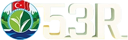 Rize Haber - 53R Logo