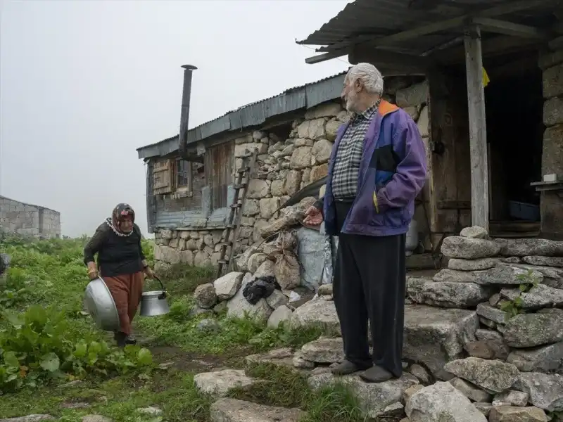Çamlıhemşin Yaylalarında Hayat Yeniden Yeşeriyor