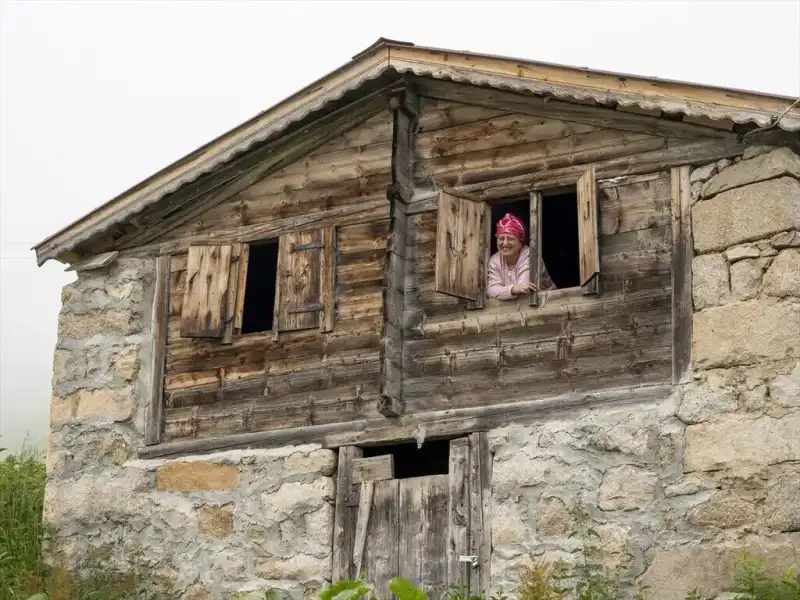 Çamlıhemşin Yaylalarında Hayat Yeniden Yeşeriyor