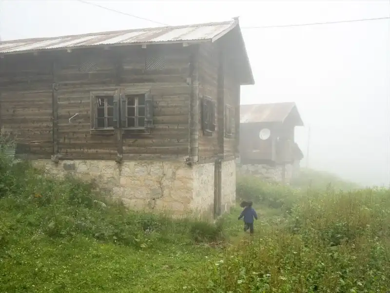Çamlıhemşin Yaylalarında Hayat Yeniden Yeşeriyor