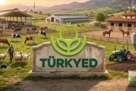 Türkyed: Türkiye’nin Hayvan Varlığı Artıyor, Üretime Devam!