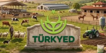 Türkyed: Türkiye’nin Hayvan Varlığı Artıyor, Üretime Devam!