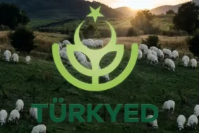 TÜRKYED’den Yapağı İçin Ulusal Çözüm Çağrısı