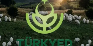 TÜRKYED’den Yapağı İçin Ulusal Çözüm Çağrısı