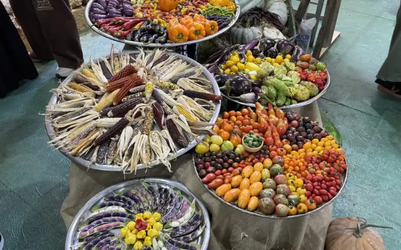 Rize’de 6. GastroRize Günleri Kapılarını Açtı