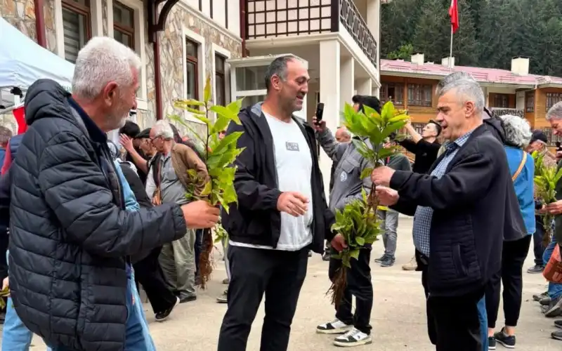Hemşin’de 500 Kestane Fidanı Dağıtıldı: Hedef 10 Bin Fidan