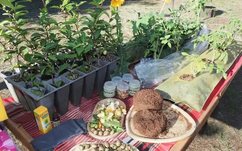 ÇAYKUR’dan Tarıma Yerli Çözüm: Çay Atıklarından Çaykopit Üretilecek