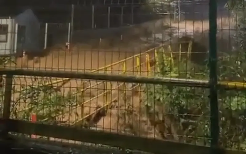 Çayeli’nde Dere Taştı! 3 Mahallenin Bağlantı Yolu Ulaşıma Kapatıldı
