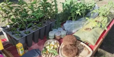 ÇAYKUR’dan Tarıma Yerli Çözüm Çay Atıklarından Çaykopit Üretilecek