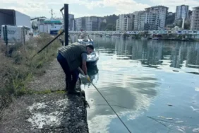 Pazar’da Balık Çöplüğüne Dönen Liman Temizlendi