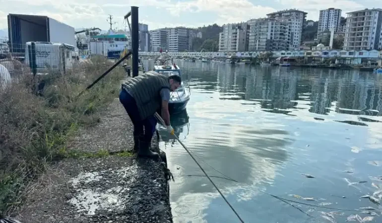 Pazar’da Balık Çöplüğüne Dönen Liman Temizlendi