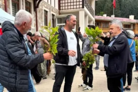 Hemşin’de 500 Kestane Fidanı Dağıtıldı: Hedef 10 Bin Fidan